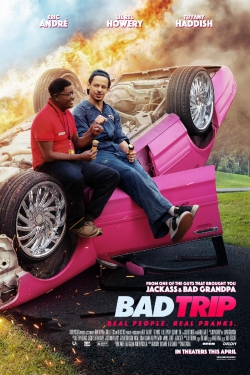 دانلود فیلم Bad Trip 2020