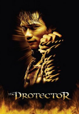 دانلود فیلم The Protector 2005