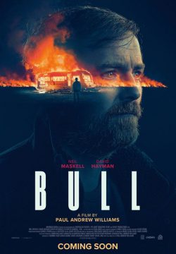 دانلود فیلم Bull 2021